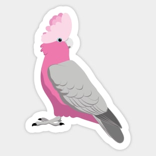 Galah pink cockatoo Sticker